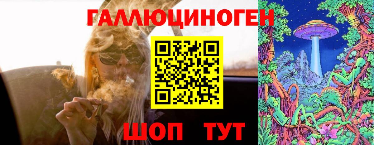 Псилоцибиновые грибы мицелий  Вход с VPN  Лесной 