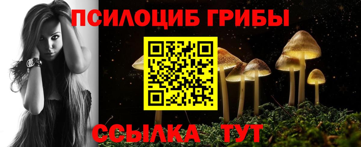Галлюциногенные грибы мицелий Лесной